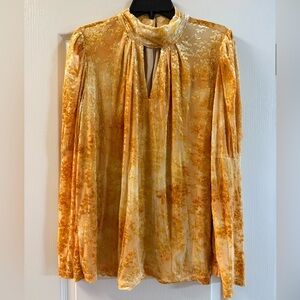 Elegant Gold Velvet Women's Top